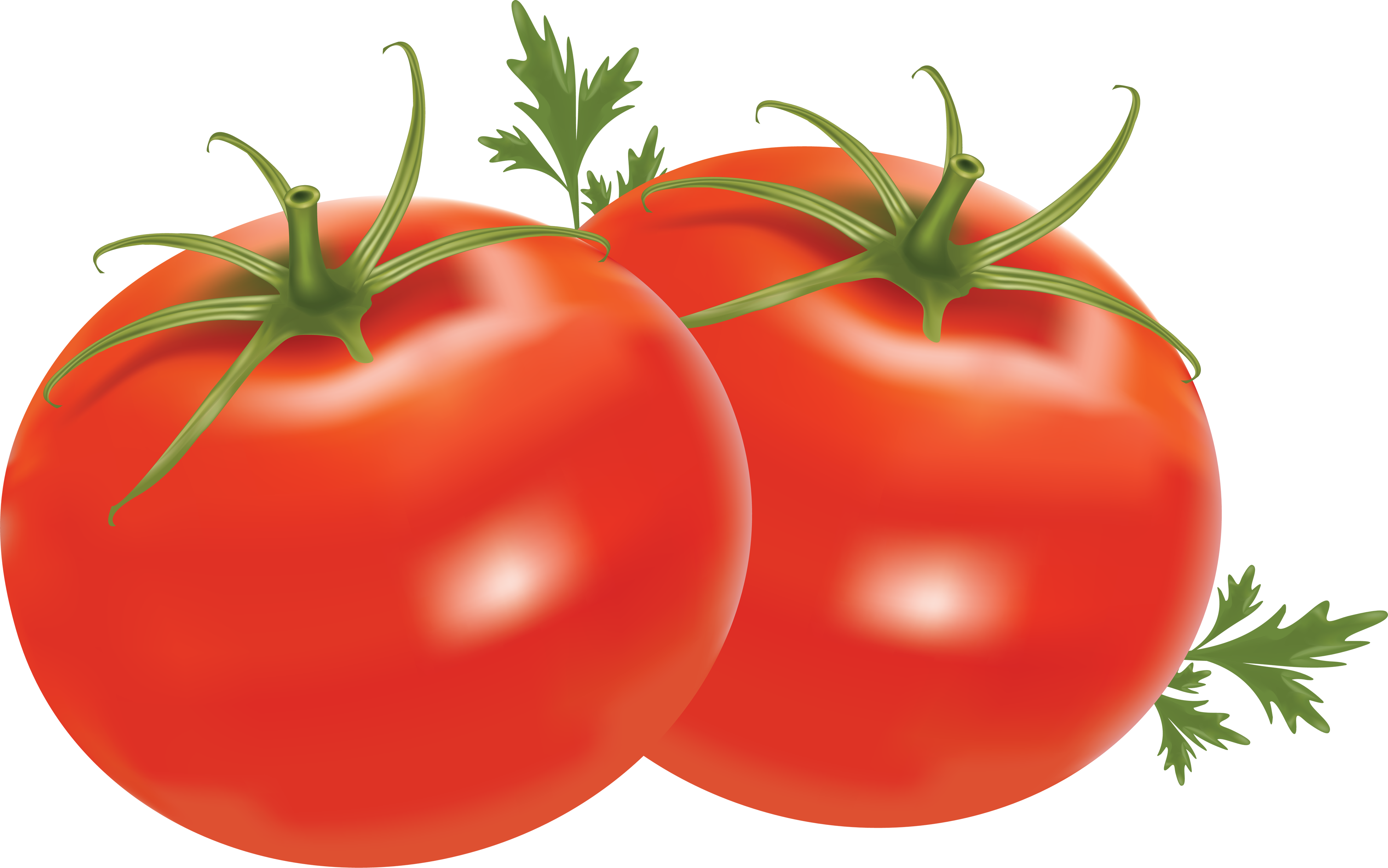 Yaprakları ile iki domates