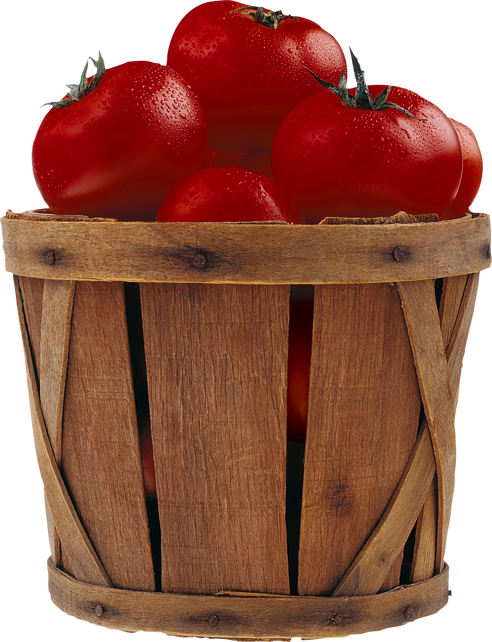Bir kova içinde domates